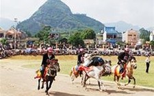 Lào Cai: Náo nhiệt với lễ hội đua ngựa Bắc Hà