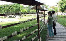 Festival Huế: tác phẩm nghệ thuật lại bị phá hoại