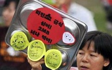 Ngày 26-6, Hàn Quốc bắt đầu nối lại việc nhập khẩu thịt bò Mỹ