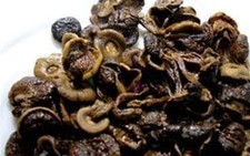 Đầu mùa mưa nhớ nấm tràm ở chợ Lái Thiêu