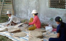 Tráng chiếc bánh tráng có đường kính 3,2 m chào mừng Festival Tây Sơn - Bình Định