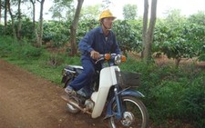 Nông dân nhọc nhằn bám đất - Kỳ 3:  Ai bảo trồng cà phê là giàu?