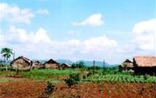 Hộ nghèo được miễn lệ phí trước bạ nhà ở, đất ở