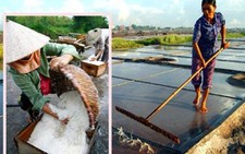 Một ngày trên đồng muối