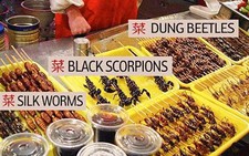Thưởng thức món 