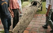 Trưng bày thuyền độc mộc cổ ở Di Luân Đường