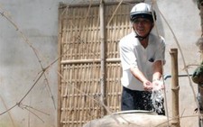 Quảng Nam: 