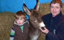 10 điểm đến miễn phí thú vị nhất ở Ireland dành cho trẻ em