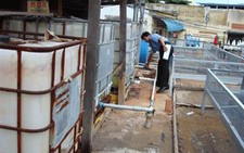 Mối đe dọa khủng khiếp từ nước thải y tế!