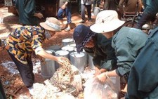 Nông sản rớt giá đồng loạt