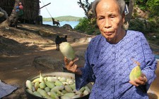 Khám phá biển Tây - Kỳ 3: 