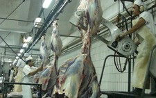 Doanh nghiệp gây ô nhiễm điều trần về việc chậm di dời