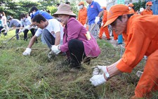Dọn rác, khơi thông kênh rạch