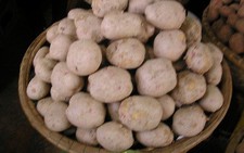 Khoai tây Đà Lạt 