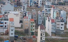 Cảnh báo các 