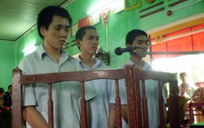 Quảng Ngãi: lãnh án nặng vì phá hủy tường hộ lan mềm đường bộ