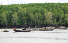 Đánh thức tour đường sông