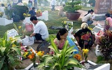 Nhớ tảo mộ xưa