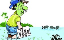 Năm sửu nói chuyện làm phim với trâu