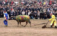 Lễ hội tịch điền Đọi Sơn: trở về nguồn cội