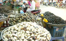 Đói bụng với đặc sản Cà Mau