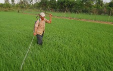 Vĩnh Long: triển khai 16 điểm về 