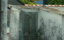 Sóc Trăng: tổ ong vò vẽ rất to giữa khu vực đông dân cư