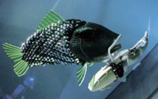 Thả cá robot để dò tìm ô nhiễm