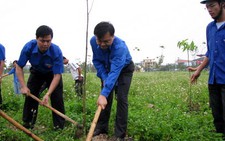 Ra quân hưởng ứng 