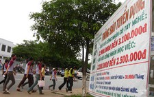Thị trường lao động khởi sắc