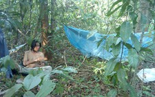 Săn thú trong rừng cấm