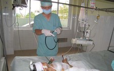 80% gia đình bệnh nhi phỏng không đủ tiền chữa bệnh