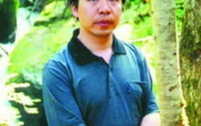 Trung Quốc: văn học mạng dễ trở thành con dao hai lưỡi