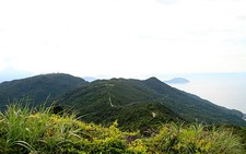 Du ngoạn Sơn Trà xanh