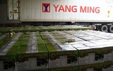 Xuất khẩu sầu riêng sang Mỹ