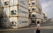 Gần 100 container thịt đông lạnh kẹt cảng: Lỗi chính do doanh nghiệp?