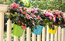 9 bí quyết trang trí sân vườn