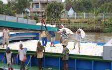 Xây dựng thương hiệu gạo Việt