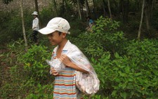 Mùa nấm tràm