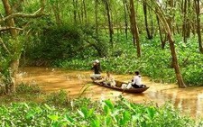 Du lịch sinh thái kết hợp với dịch vụ nông thôn