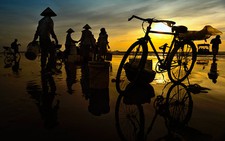 Chợ cá Tĩnh Gia