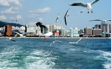 Du lịch thăm hội chợ thủy sản Busan, Hàn Quốc