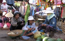 Chuyện 7 anh em mồ côi