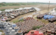 Khô hạn nghiêm trọng ở miền Bắc: Chuyển trồng lúa sang hoa màu