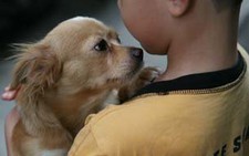 Nhiễm giun đũa từ chó