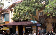 Thủ tướng yêu cầu Hà Nội dừng ngay việc phá biệt thự cũ