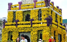 10 kỷ lục từ Festival hoa Đà Lạt