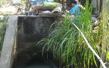 Kiên Giang: 