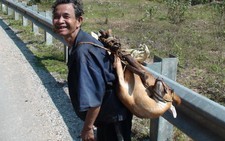 Tận diệt thú rừng