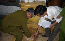 Phát hiện trên 17 tấn thực phẩm đông lạnh thối